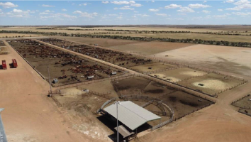 Feedlot Plan