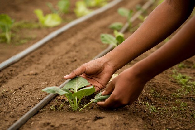 farmers and liverstock keepers benefits high yields in tanzania